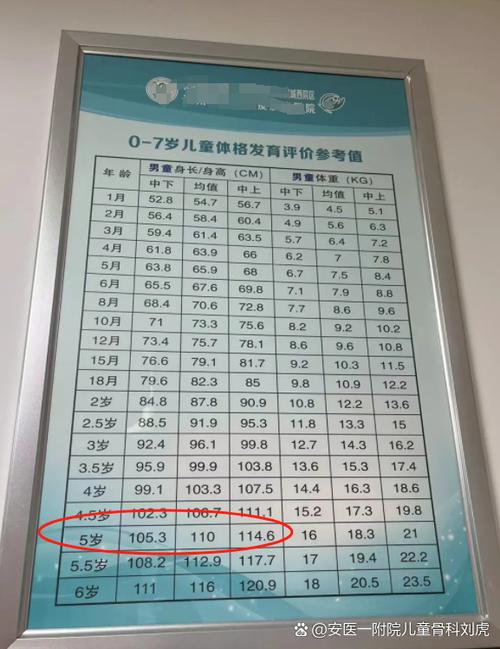 矮小儿童该挂什么科？-第3张图片-中州医学会