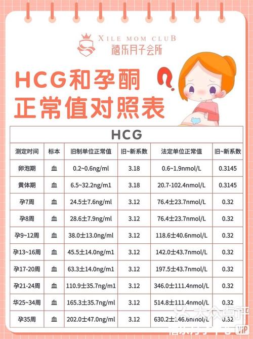 孕期40天hcg多少正常-第3张图片-中州医学会