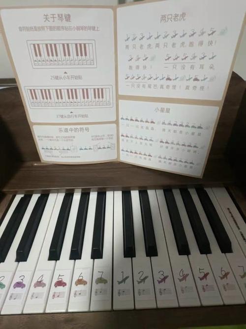 孩子学电子琴还是钢琴，哪个更适合？-第1张图片-中州医学会