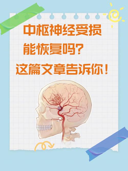 儿童中枢神经受损后，究竟能否恢复？-第1张图片-中州医学会