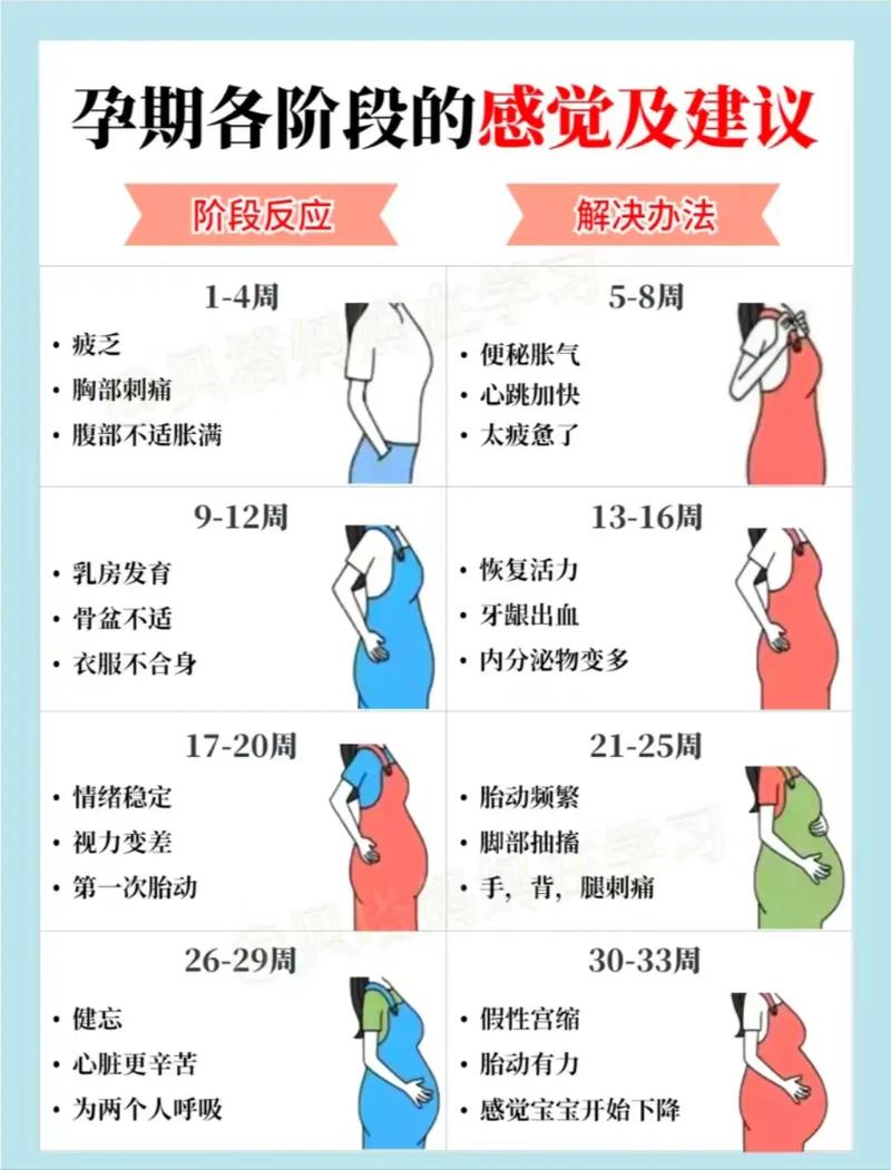 老婆怀孕，老公为何也孕吐？-第1张图片-中州医学会