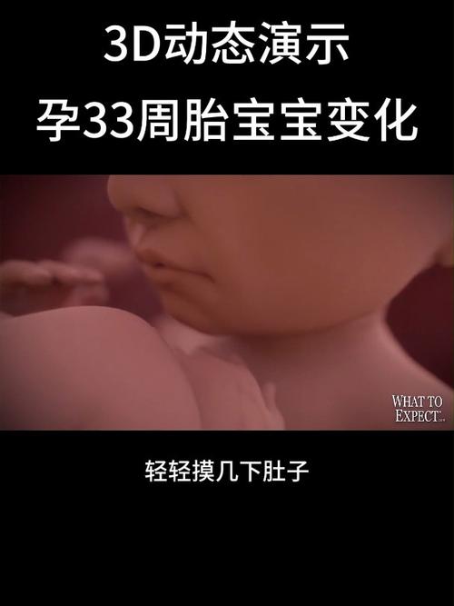 孕期33周胎儿发育情况如何？-第1张图片-中州医学会