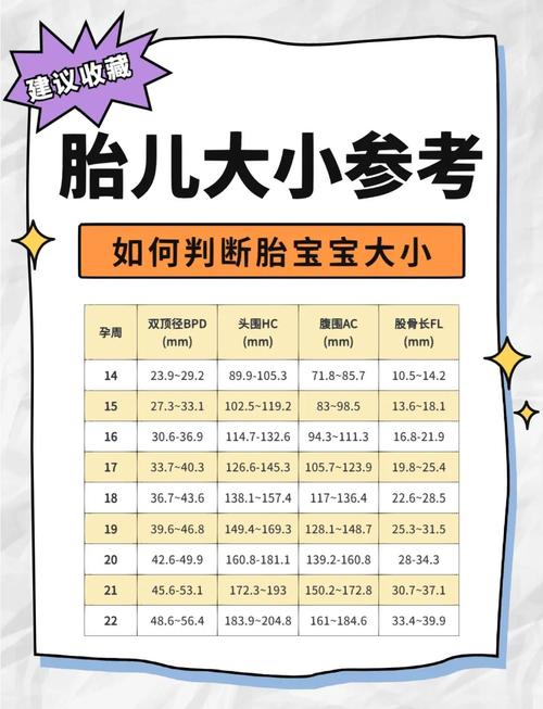 孕期24周宝宝发育标准有哪些关键指标？-第3张图片-中州医学会