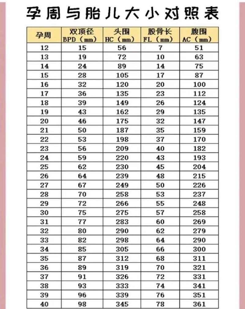 孕期24周宝宝发育标准有哪些关键指标？-第1张图片-中州医学会