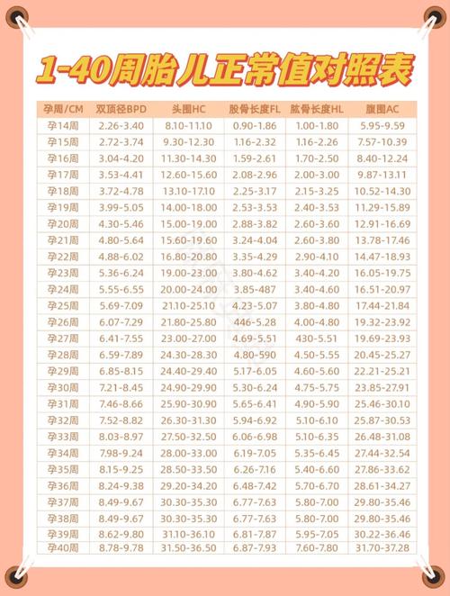 孕期24周宝宝发育标准有哪些关键指标？-第2张图片-中州医学会