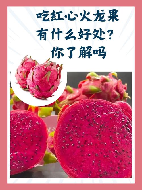 孕期红心火龙果能吃吗？-第2张图片-中州医学会