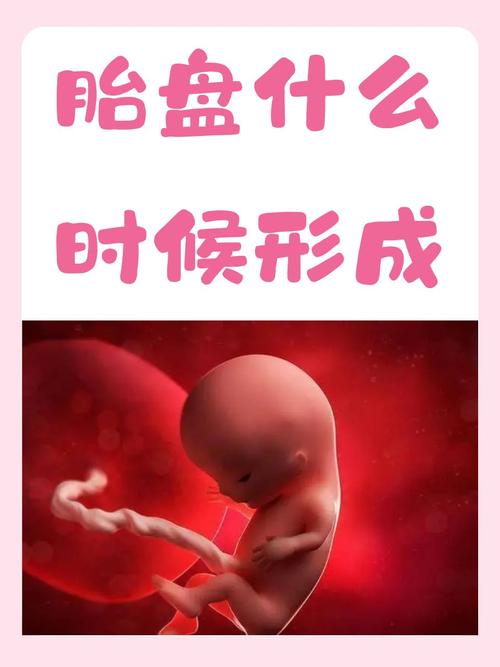 胎盘位置孕期会变吗？-第2张图片-郑州医学网