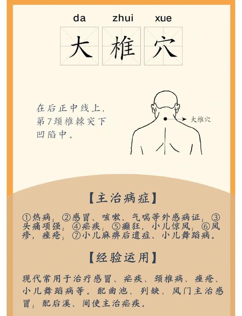 儿童大椎准确位置图在哪儿?-第1张图片-中州医学会 儿童大椎准确位置图在哪儿?-第1张图片-中州医学会