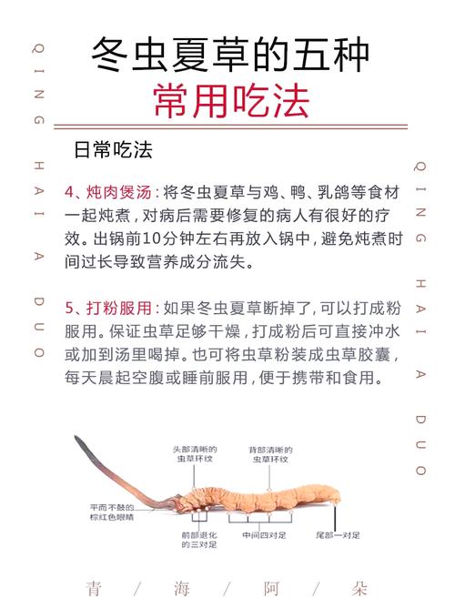 6岁儿童可以吃冬虫夏草-第2张图片-郑州医学网