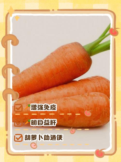 孕期胡萝卜每天吃安全吗？-第1张图片-郑州医学网