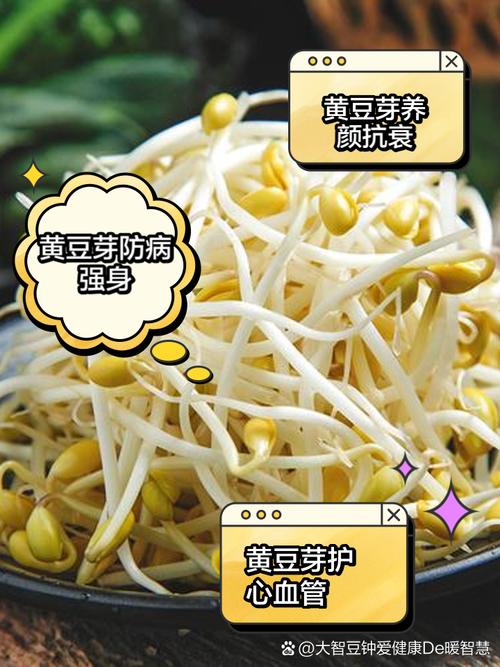 孕期血糖高能吃豆芽吗？-第1张图片-郑州医学网