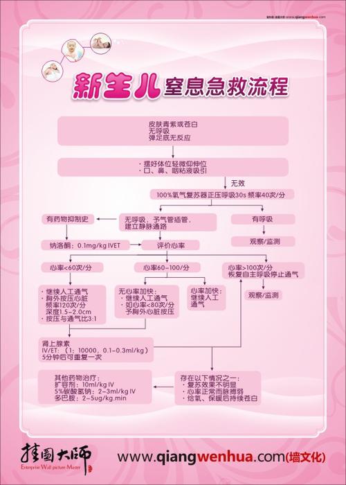 新生儿窒息抢救流程图的关键步骤与时间节点如何把控？-第3张图片-郑州医学网