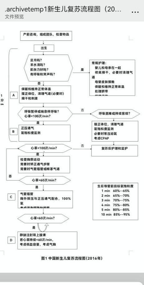 新生儿窒息抢救流程图的关键步骤与时间节点如何把控?-第1张图片-郑州医学网 新生儿窒息抢救流程图的关键步骤与时间节点如何把控?-第1张图片-郑州医学网