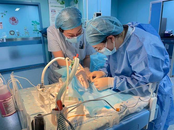 新生儿肺动脉高压治疗有哪些关键难点与最新突破？-第2张图片-郑州医学网