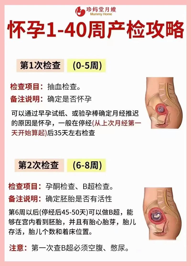 怀孕期间哪些行为或因素容易引发流产风险？-第2张图片-郑州医学网