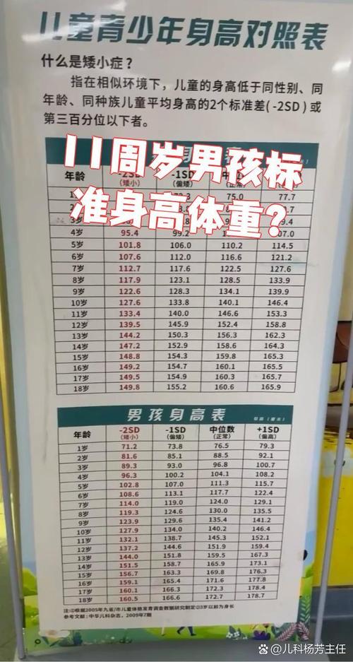 11岁儿童身高体重标准是多少?不同性别、地域的孩子差异大吗?-第3张图片-郑州医学网 11岁儿童身高体重标准是多少?不同性别、地域的孩子差异大吗?-第3张图片-郑州医学网