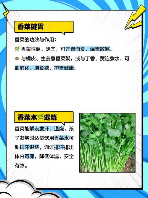 备孕期间吃香菜对孕妇和胎儿到底有没有影响？-第3张图片-郑州医学网