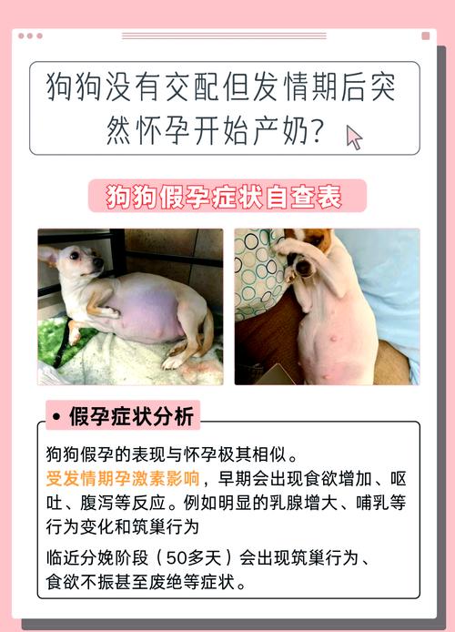 怀孕期间养宠物怎么办？这些注意事项和健康防护你必须知道！-第1张图片-郑州医学网