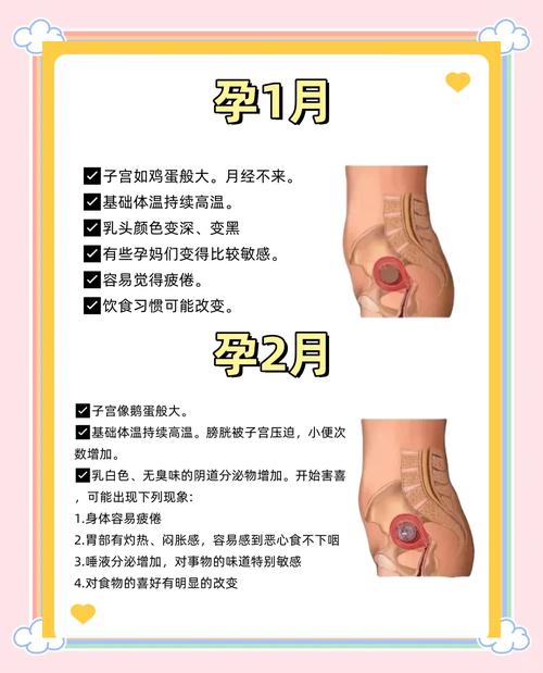 孕期反应小就一定是女孩吗?科学依据是什么?-第1张图片-郑州医学网 孕期反应小就一定是女孩吗?科学依据是什么?-第1张图片-郑州医学网