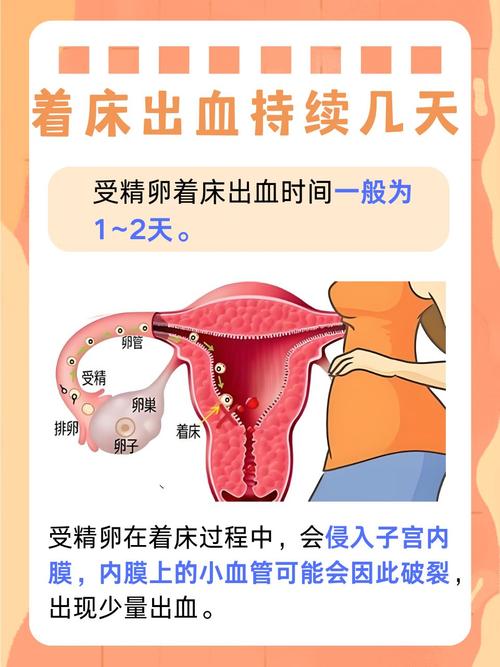 孕期出血一般会持续多久?不同情况下的出血时长差异大吗?-第2张图片-郑州医学网 孕期出血一般会持续多久?不同情况下的出血时长差异大吗?-第2张图片-郑州医学网