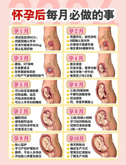 孕期八项免疫检查具体查哪些项目？对孕妇和胎儿健康有何重要意义？-第3张图片-郑州医学网