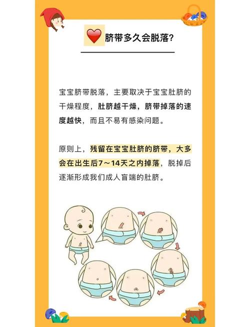 新生儿脐带到底需要多久才能脱落？家长该如何正确护理促进愈合？-第2张图片-郑州医学网