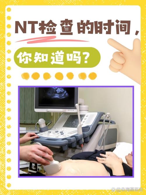孕期NT检查需要憋尿吗？不同孕周有不同要求吗？-第2张图片-郑州医学网