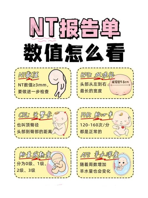 孕期NT检查需要憋尿吗?不同孕周有不同要求吗?-第1张图片-郑州医学网 孕期NT检查需要憋尿吗?不同孕周有不同要求吗?-第1张图片-郑州医学网