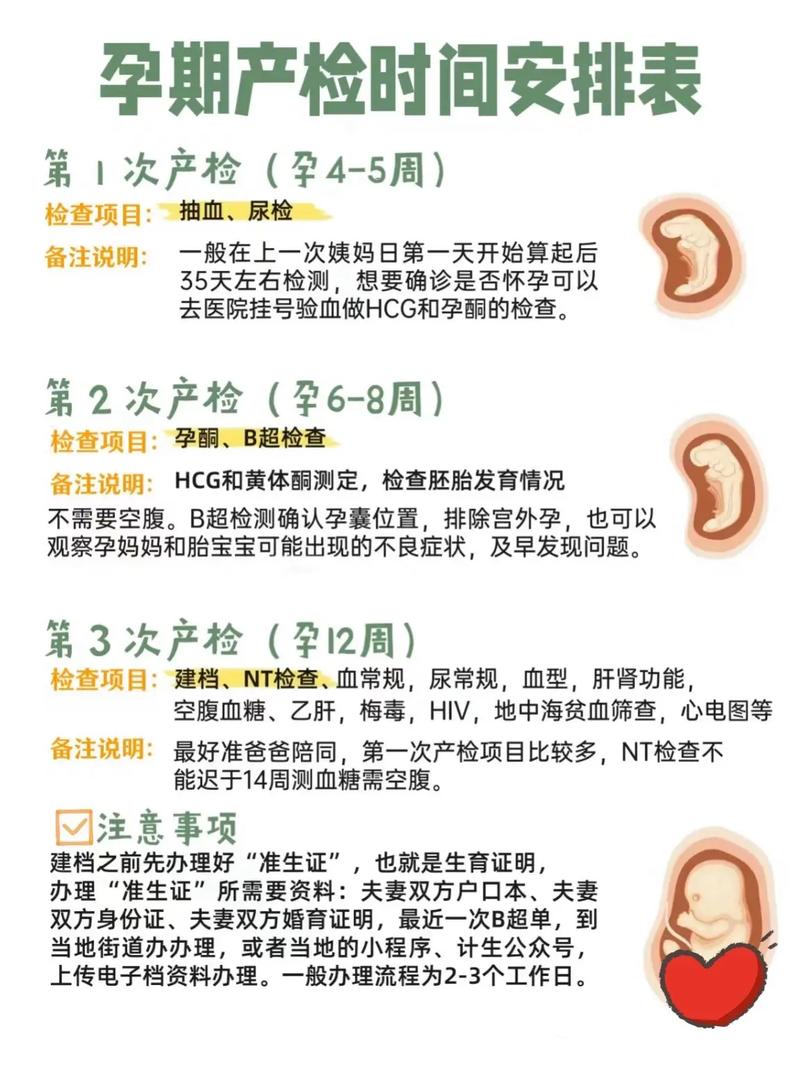 早孕检查项目有哪些？不同孕周该做哪些关键检查？-第2张图片-郑州医学网