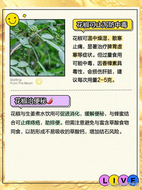 备孕期间吃花椒会影响受孕或胎儿健康吗？-第3张图片-郑州医学网