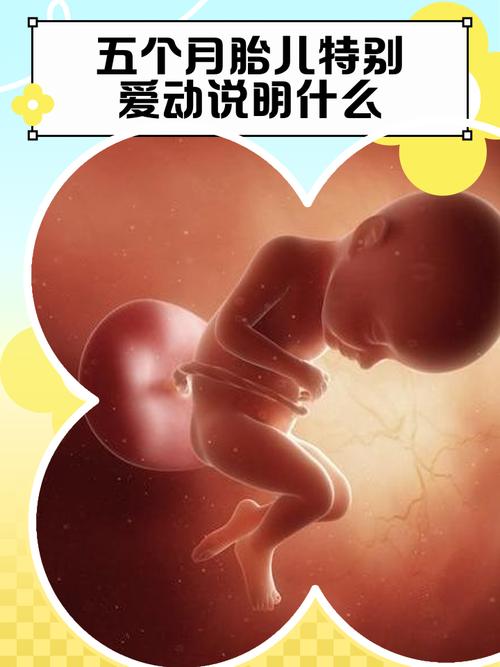 怀孕五月胎儿发育到什么程度了？B超能看清哪些细节？-第1张图片-郑州医学网