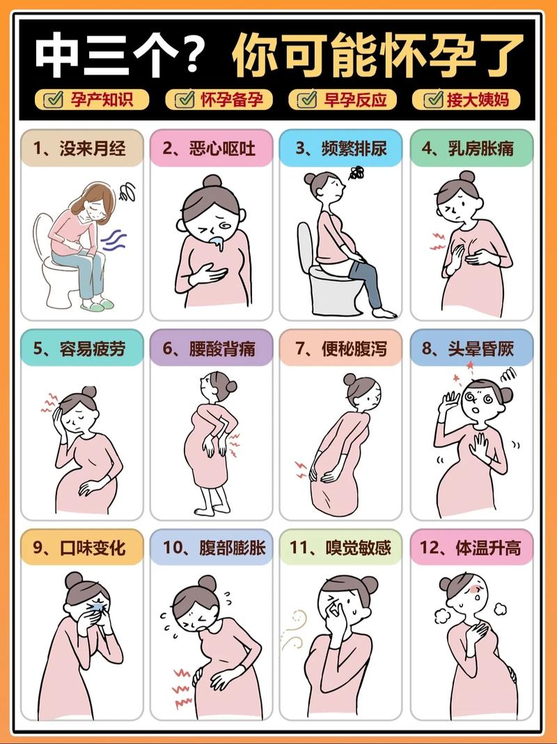 孕期反应剧烈真的能判断胎儿性别吗？科学依据在哪里？-第3张图片-郑州医学网