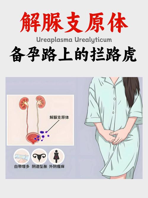 孕期感染解脲支原体会有哪些具体反应？对胎儿和孕妇健康有哪些潜在影响？-第1张图片-郑州医学网