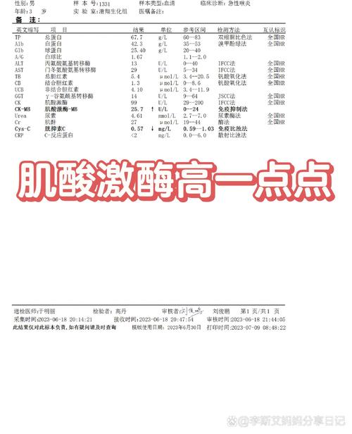 儿童肌酸激酶同工酶偏高是什么原因引起的?需要怎么治疗?-第2张图片-郑州医学网 儿童肌酸激酶同工酶偏高是什么原因引起的?需要怎么治疗?-第2张图片-郑州医学网