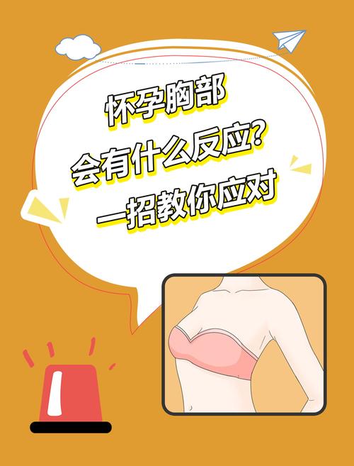 孕期如何科学有效促进乳房发育变大？有哪些安全方法可尝试？-第2张图片-郑州医学网