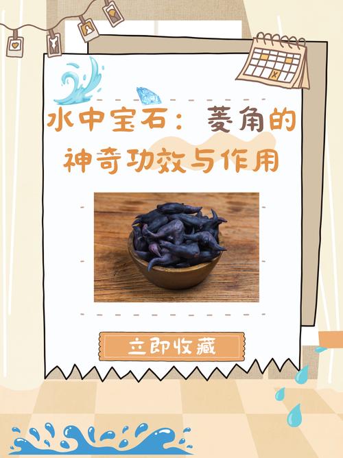 孕期血糖高到底能不能吃菱角?吃了会升高血糖吗?-第1张图片-郑州医学网 孕期血糖高到底能不能吃菱角?吃了会升高血糖吗?-第1张图片-郑州医学网