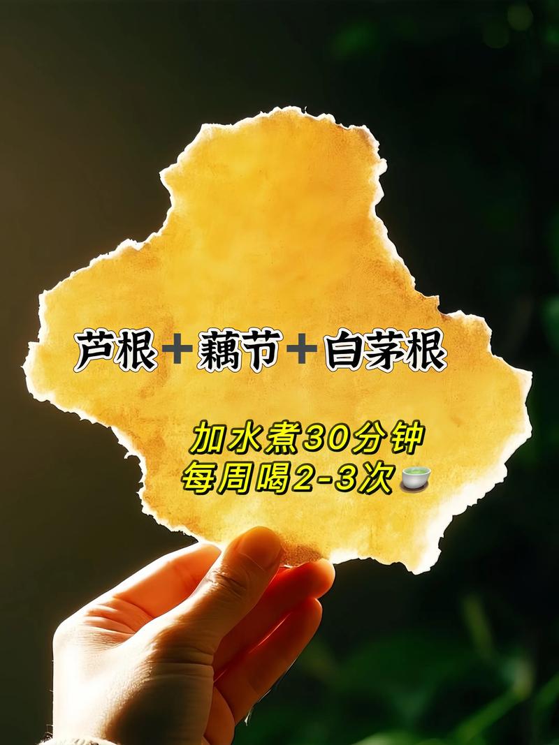 儿童经常流鼻血,饮食上该吃什么来调理和预防?-第1张图片-郑州医学网 儿童经常流鼻血,饮食上该吃什么来调理和预防?-第1张图片-郑州医学网