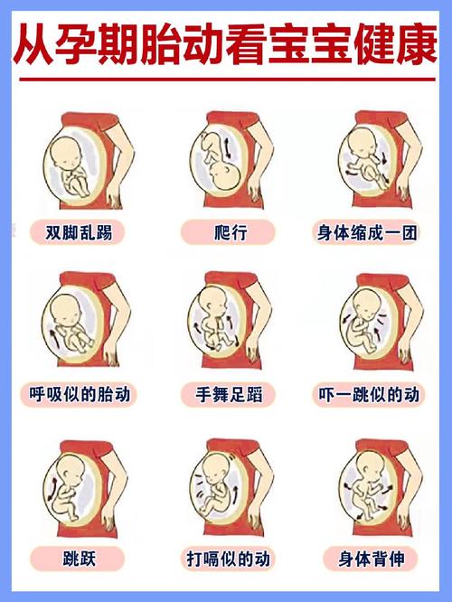 孕期胎动少和胎儿性别有关吗?胎动少是女宝的科学依据是什么?-第1张图片-郑州医学网 孕期胎动少和胎儿性别有关吗?胎动少是女宝的科学依据是什么?-第1张图片-郑州医学网