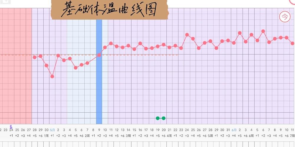 备孕期正常体温变化图是怎样的？如何通过体温变化判断排卵期？-第1张图片-郑州医学网