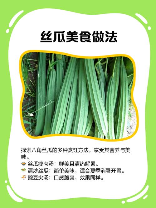 孕期频繁食用丝瓜会否影响健康?营养专家建议与注意事项解析-第3张图片-郑州医学网 孕期频繁食用丝瓜会否影响健康?营养专家建议与注意事项解析-第3张图片-郑州医学网