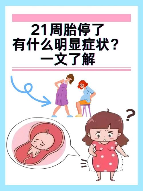 孕期便秘真的会引发胎停育吗?两者间存在哪些潜在关联?-第3张图片-郑州医学网 孕期便秘真的会引发胎停育吗?两者间存在哪些潜在关联?-第3张图片-郑州医学网