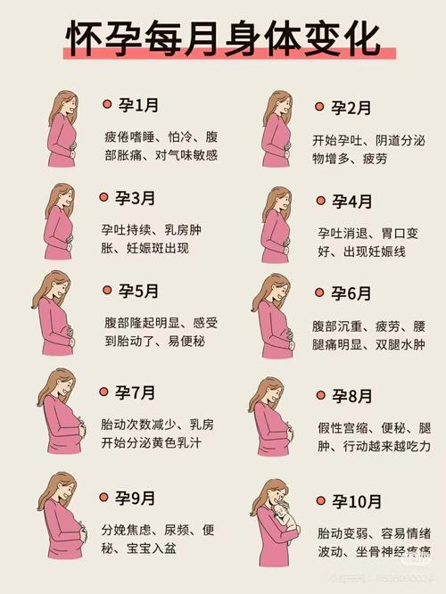 怀孕期间如何科学丰胸?饮食、按摩还是运动更有效?-第1张图片-郑州医学网 怀孕期间如何科学丰胸?饮食、按摩还是运动更有效?-第1张图片-郑州医学网