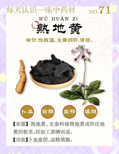 备孕期间吃熟地到底行不行？会不会有啥影响？-第2张图片-郑州医学网