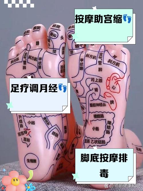 怀孕期间足底按摩安全吗？哪些穴位需避开，按摩时有哪些注意事项？-第1张图片-郑州医学网