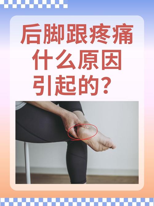 孕期后脚跟痛是什么原因导致的?需要特别关注吗?-第2张图片-郑州医学网 孕期后脚跟痛是什么原因导致的?需要特别关注吗?-第2张图片-郑州医学网
