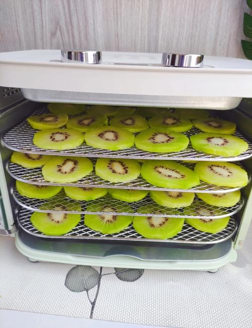 孕期食用猕猴桃干会致胎儿过敏吗?有哪些注意事项?-第1张图片-郑州医学网 孕期食用猕猴桃干会致胎儿过敏吗?有哪些注意事项?-第1张图片-郑州医学网