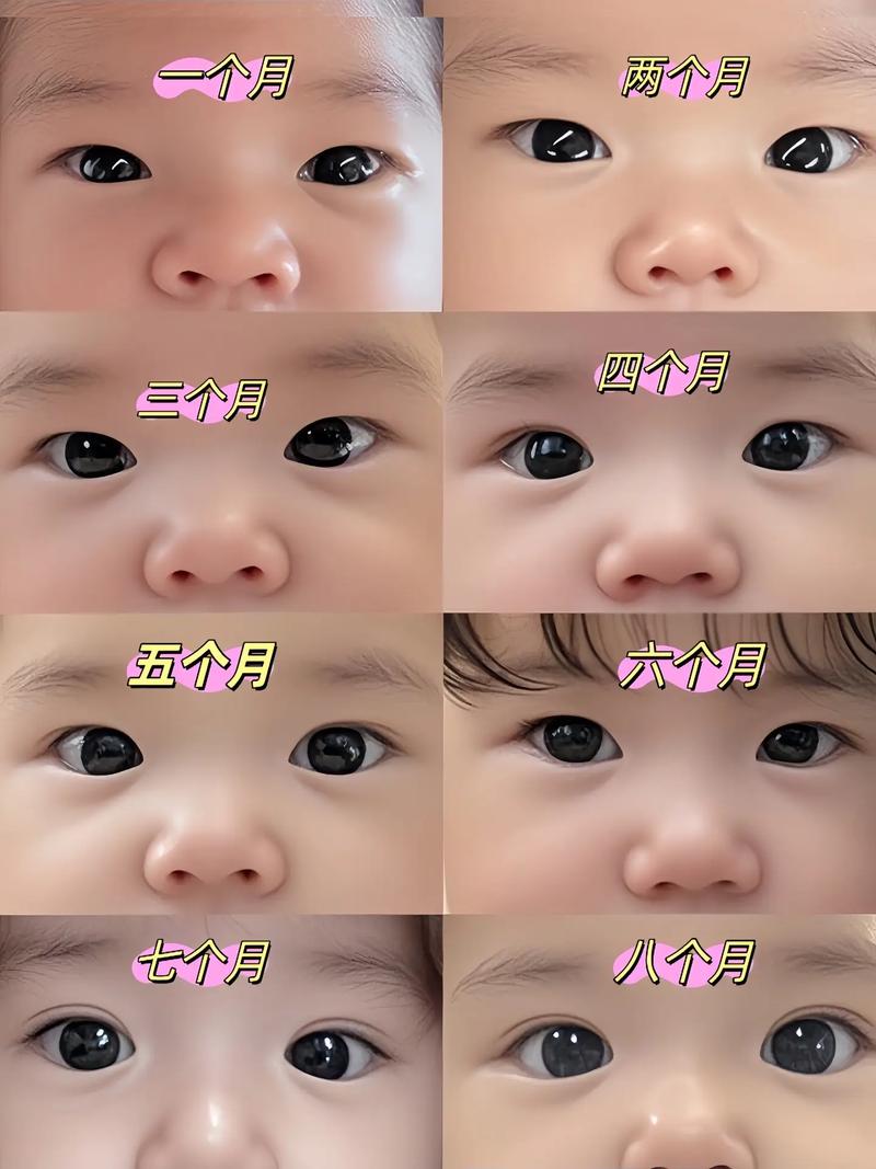 二十天新生儿视力范围有限，能看清多远？发育规律与家长注意事项是什么？-第3张图片-郑州医学网