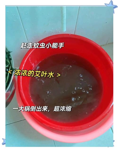 新生儿用艾叶水洗澡真的安全吗？潜在风险与科学育儿如何平衡？-第2张图片-郑州医学网