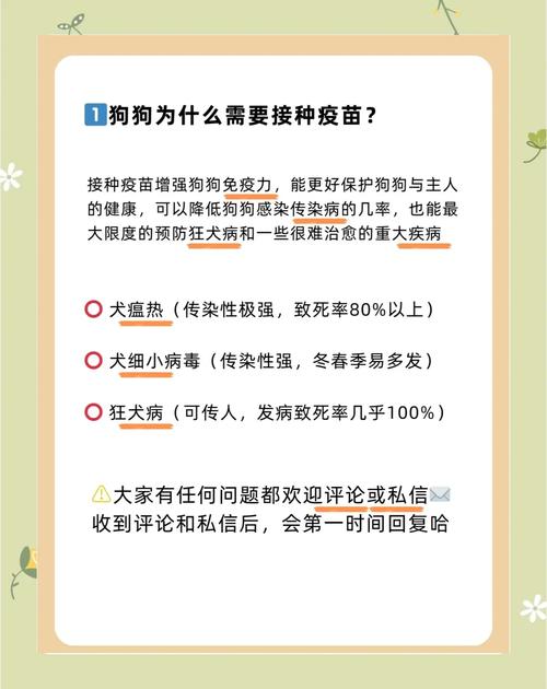 狗狗怀孕期间究竟能不能打疫苗？对胎儿和母犬会有哪些影响？-第2张图片-郑州医学网