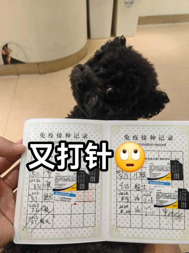 狗狗怀孕期间究竟能不能打疫苗？对胎儿和母犬会有哪些影响？-第3张图片-郑州医学网